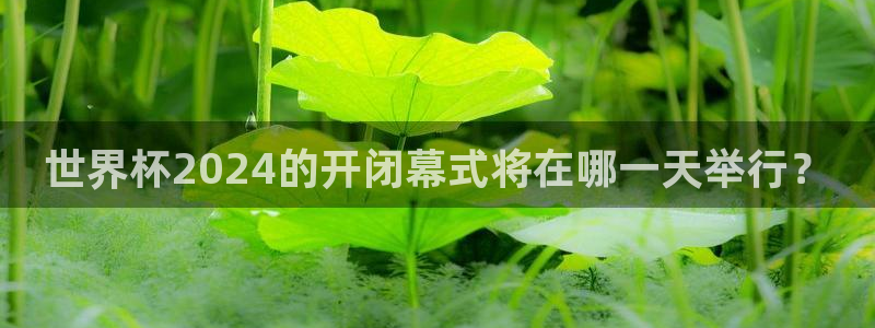 2026世界杯直播免费观看:世界杯2024的开闭幕式将在哪一天举行?