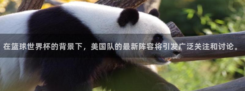 2026世界杯买球:在篮球世界杯的背景下,美国队的最新阵容将引发广泛关注和讨论。