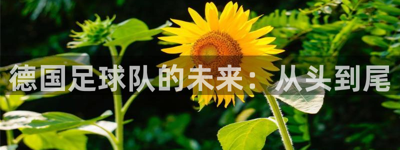 2026年世界杯赛程时间表格:德国足球队的未来:从头到尾