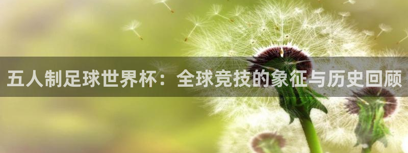 2026男足世界杯赛程:五人制足球世界杯:全球竞技的象征与历史回顾