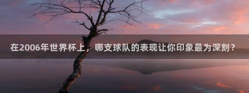 足球世界杯预选赛:在2006年世界杯上,哪支球队的表现让你印象最为深刻?
