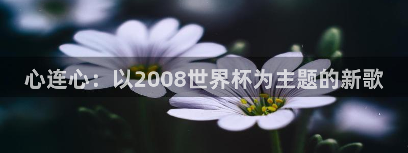 2026足球世界杯赛程:心连心:以2008世界杯为主题的新歌